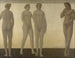 Artémis - Vilhelm Hammershøi — widok dzieła