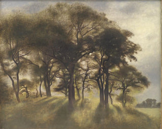 Vilhelm Hammershi - Near Fortunen Jgersborg Deer Park North of Copenhagen.webp