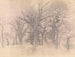 Dębów - Vilhelm Hammershøi — widok dzieła