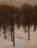 Park Søndermarken zimą - Vilhelm Hammershøi — widok dzieła
