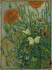 Motyle i maki - Vincent van Gogh — widok dzieła