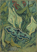 Papillon empereur - Vincent van Gogh — widok dzieła