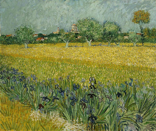 Vincent van Gogh - Field with flowers near Arles.webp