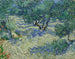 Sad oliwkowych drzew - Vincent van Gogh — widok dzieła