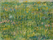 Tâche d'herbe - Vincent van Gogh — widok dzieła