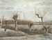 Żabki na gałęziach - Vincent van Gogh — widok dzieła
