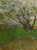 Le Verger en fleurs - Vincent van Gogh — widok dzieła