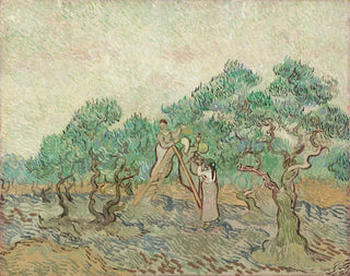 Vincent van Gogh - The Olive Orchard.webp