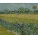 Reprodukcja obrazu Widok Arles z irysami - Vincent van Gogh