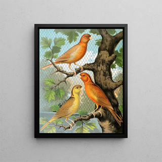 W A Blakston - Cinammon Canaries.webp