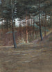 Zbliżenie na las Hardelot - Walter Crane — widok dzieła