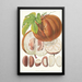 Hodgsonia Heteroclita H f i T Fruit - Walter Hood Fitch — oprawiony obraz na ścianie