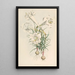 Lilium Philipinense - Walter Hood Fitch — oprawiony obraz na ścianie