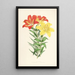 Lilium elegans var incomparabile - Walter Hood Fitch — oprawiony obraz na ścianie