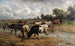 Troupeau de bovins à un point d'eau dans un paysage vaste - Wilhelm Frey — widok dzieła