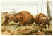 Le Bison d'Europe - Wilhelm Kuhnert — widok dzieła