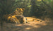 La Tanière des lions - Wilhelm Kuhnert — widok dzieła