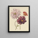 Dahlias - Willem Hekking — oprawiony obraz na ścianie
