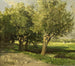 Drzewo wierzby - Willem Roelofs — widok dzieła