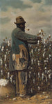 Zbieracz bawełny - William Aiken Walker — widok dzieła