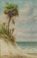 krajobrazu morskiego z Florydy z wydmą i palmą - William Aiken Walker — widok dzieła