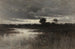 W mokradłach - William Crothers Fitler — widok dzieła