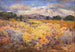 Longs Peak, Kolorado - William Henry Holmes — widok dzieła