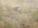Mon vieux moulin à Holmescroft près de Rockville - William Henry Holmes — widok dzieła