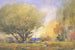 Scena letnia - William Henry Holmes — widok dzieła