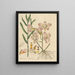 Dendrobium calceolaria - William Jackson Hooker — oprawiony obraz na ścianie