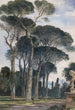 Pins parasols dans la Villa Borghèse Rome - William James Müller — widok dzieła