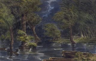 William McIlvaine - The Chickahominy Swamp.webp