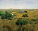 Lato na Shinnecock Hills - William Merritt Chase — widok dzieła