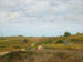 Bez tytułu, Shinnecock Hills, Long Island - William Merritt Chase — widok dzieła