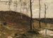 Wzgórze z drzewami - William Morris Hunt — widok dzieła