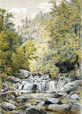 William Rickarby Miller - Catskill Clove.webp