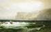 Côte de Tintagel - William Trost Richards — widok dzieła