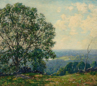 Drzewa na wzgórzu nad doliną - Wilson Henry Irvine — widok dzieła