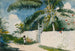 Ogród w Nassau - Winslow Homer — widok dzieła