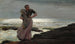 Jedno światło na morzu - Winslow Homer — widok dzieła