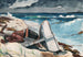 Po huraganie na Bahamach - Winslow Homer — widok dzieła