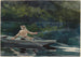 Lancer numer dwa - Winslow Homer — widok dzieła