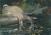 Jeleń pijący - Winslow Homer — widok dzieła