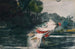 czarny barw wielkości naturalnej - Winslow Homer — widok dzieła