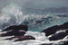 Côte du Maine - Winslow Homer — widok dzieła