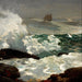 na osłoniętym wybrzeżu - Winslow Homer — widok dzieła
