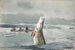 Brochet, jezioro Saint-Jean, połowy na łowianicę - Winslow Homer — widok dzieła