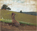 Zielony wzgórz - Winslow Homer — widok dzieła