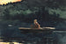 L'essor - Winslow Homer — widok dzieła
