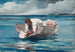 L'éventail d'eau - Winslow Homer — widok dzieła